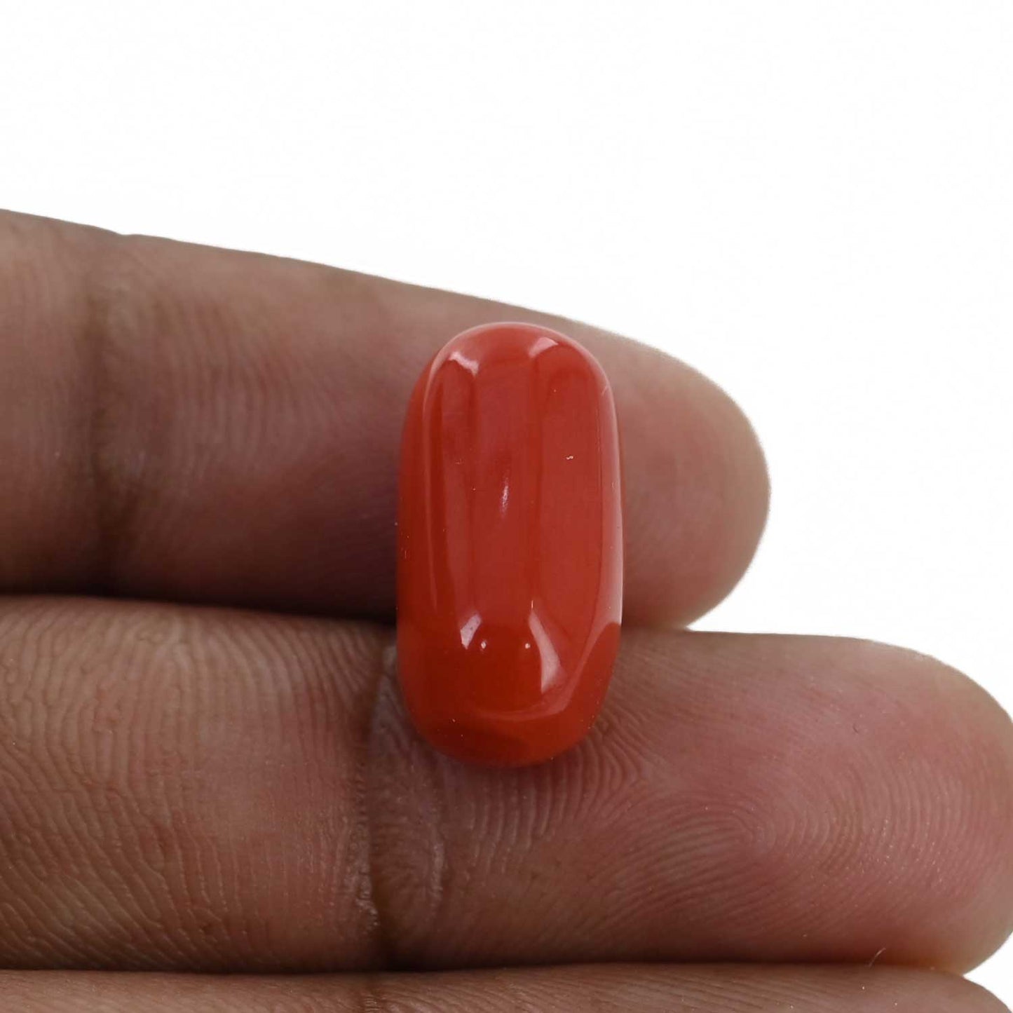 Red Coral (Moonga) - 13.65 Carat