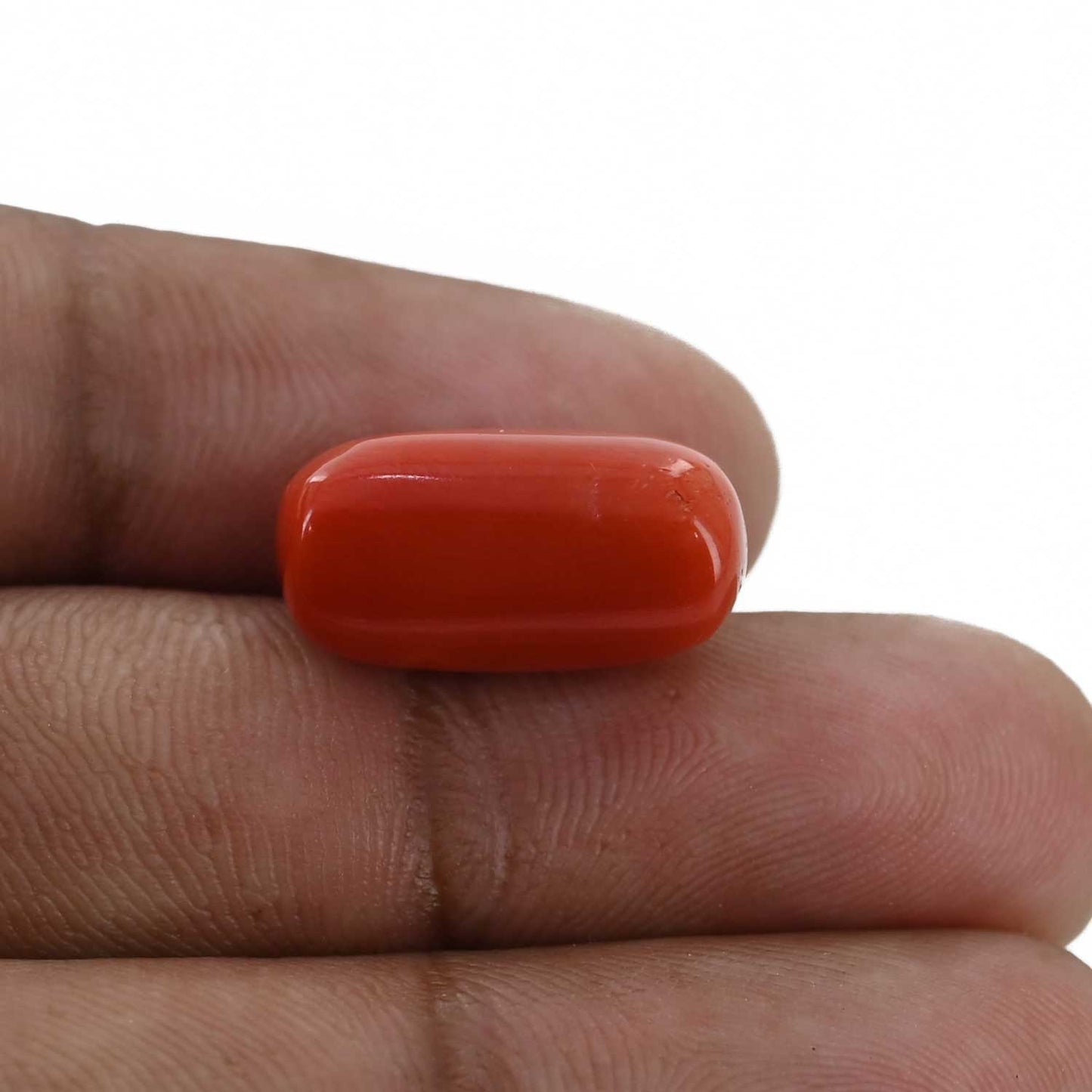 Red Coral (Moonga) - 13.65 Carat