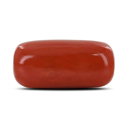 Red Coral (Moonga) - 12.71 Carat