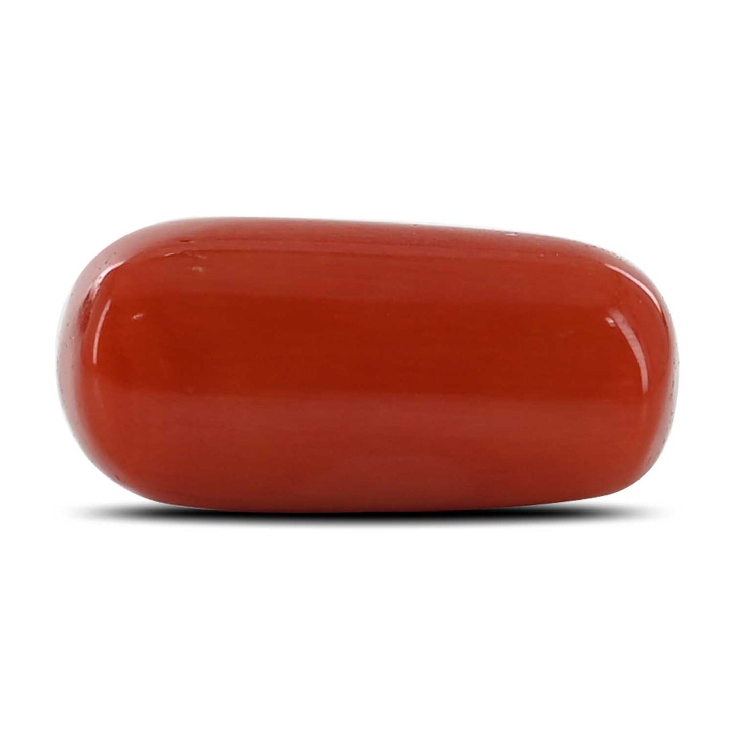 Red Coral (Moonga) - 10.32 Carat
