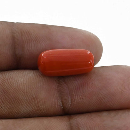 Red Coral (Moonga) - 10.32 Carat