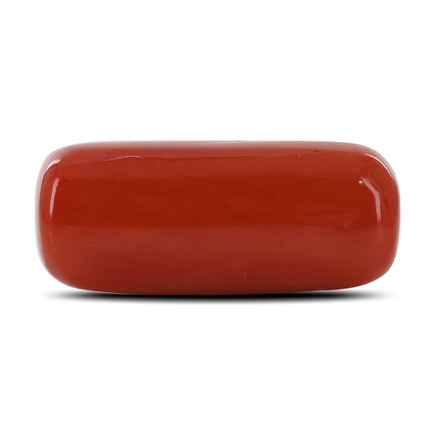 Red Coral (Moonga) - 10.35 Carat