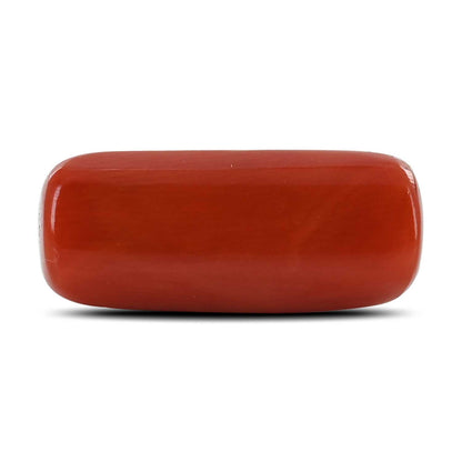 Red Coral (Moonga) - 10.35 Carat