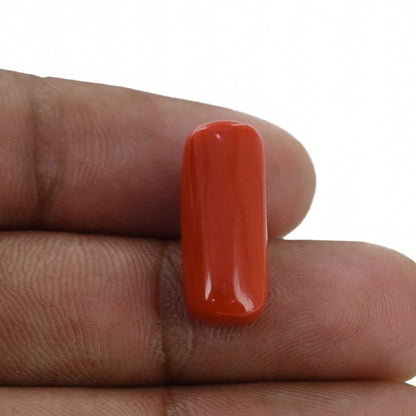 Red Coral (Moonga) - 10.35 Carat