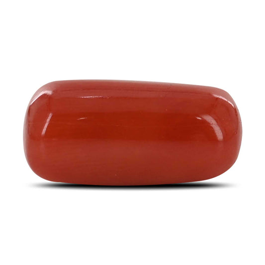 Red Coral (Moonga) - 10.36 Carat
