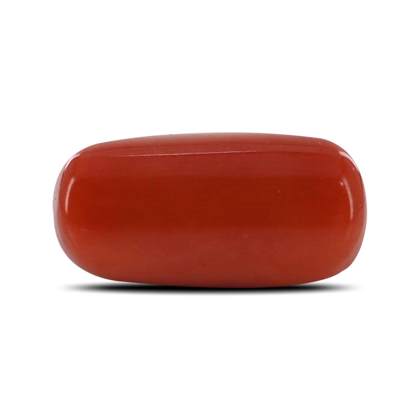 Red Coral (Moonga) - 10.36 Carat