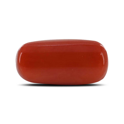 Red Coral (Moonga) - 10.36 Carat