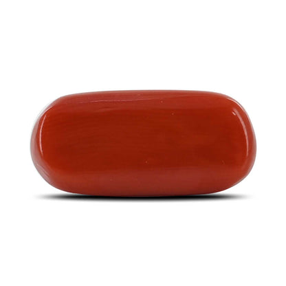 Red Coral (Moonga) - 8.94 Carat
