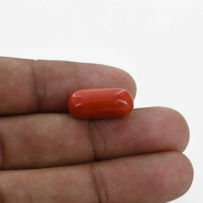 Red Coral (Moonga) - 8.94 Carat