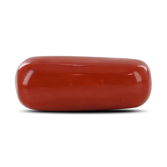Red Coral (Moonga) - 9.26 Carat