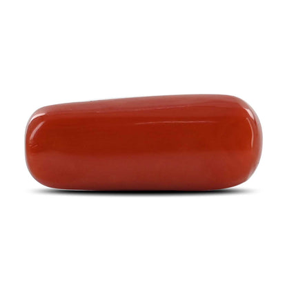 Red Coral (Moonga) - 9.26 Carat