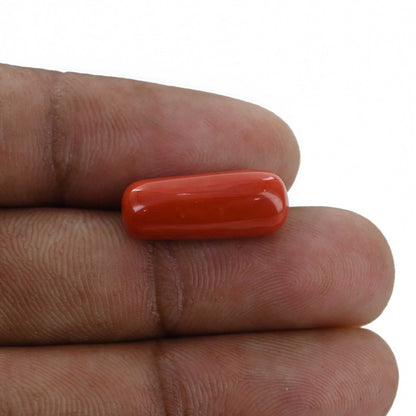 Red Coral (Moonga) - 9.26 Carat