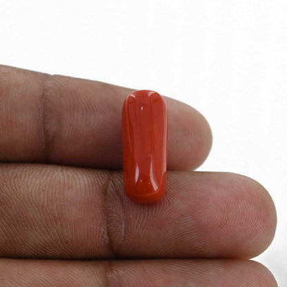 Red Coral (Moonga) - 9.26 Carat