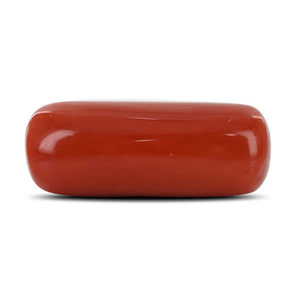 Red Coral (Moonga) - 10.26 Carat