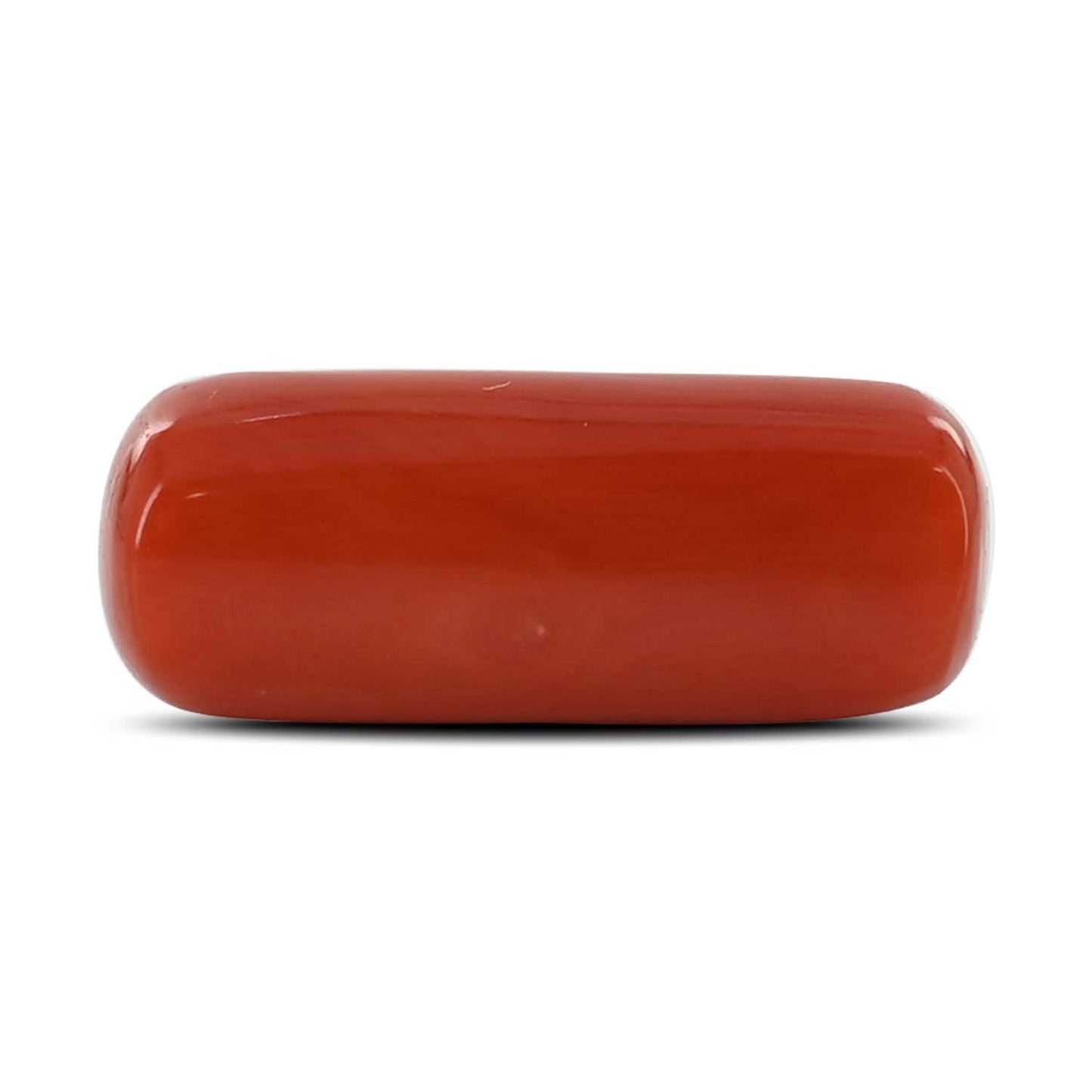 Red Coral (Moonga) - 10.26 Carat