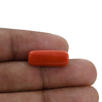 Red Coral (Moonga) - 10.26 Carat