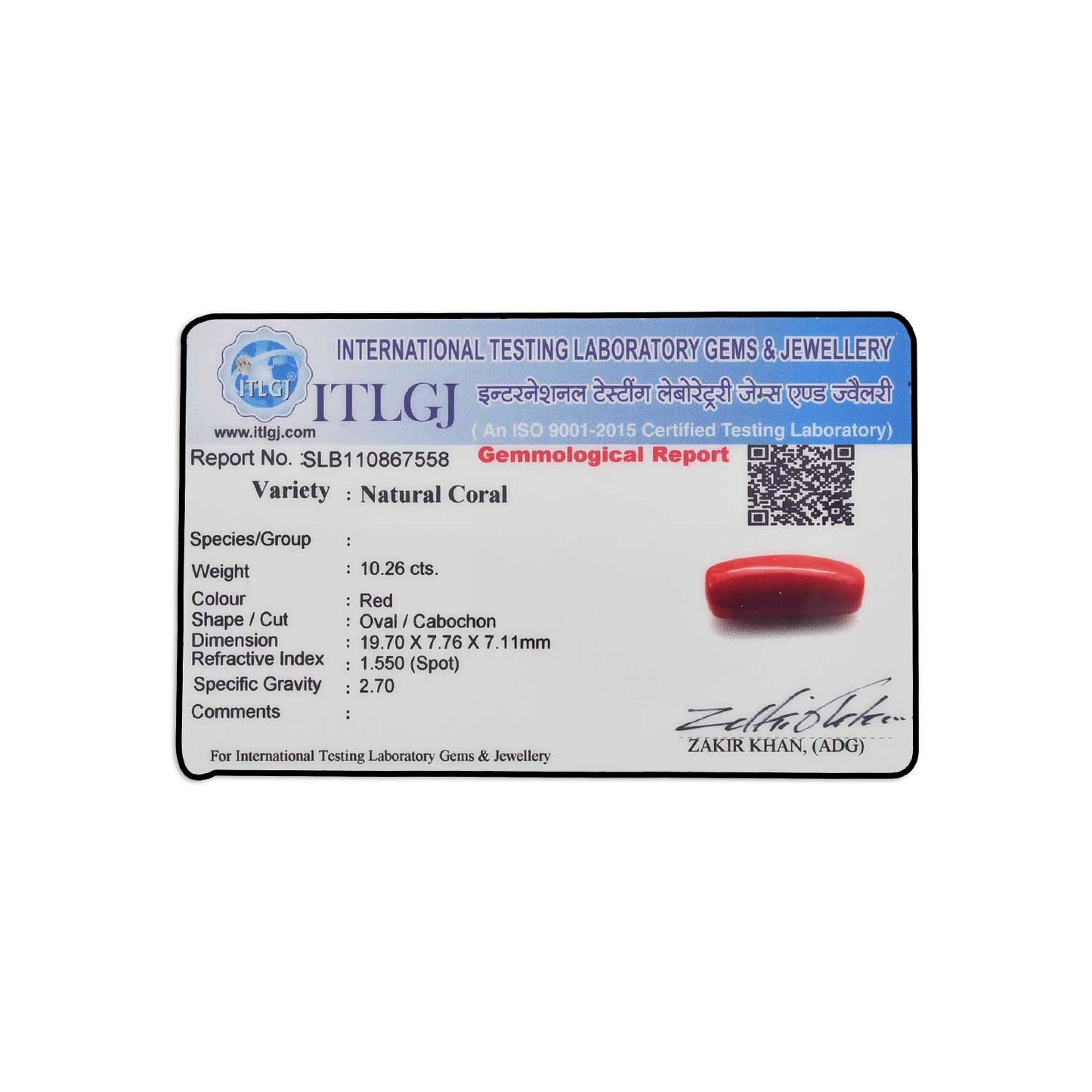 Red Coral (Moonga) - 10.26 Carat