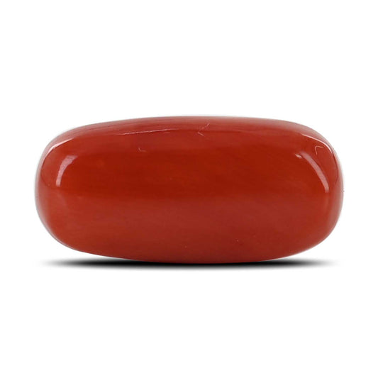 Red Coral (Moonga) - 11 Carat