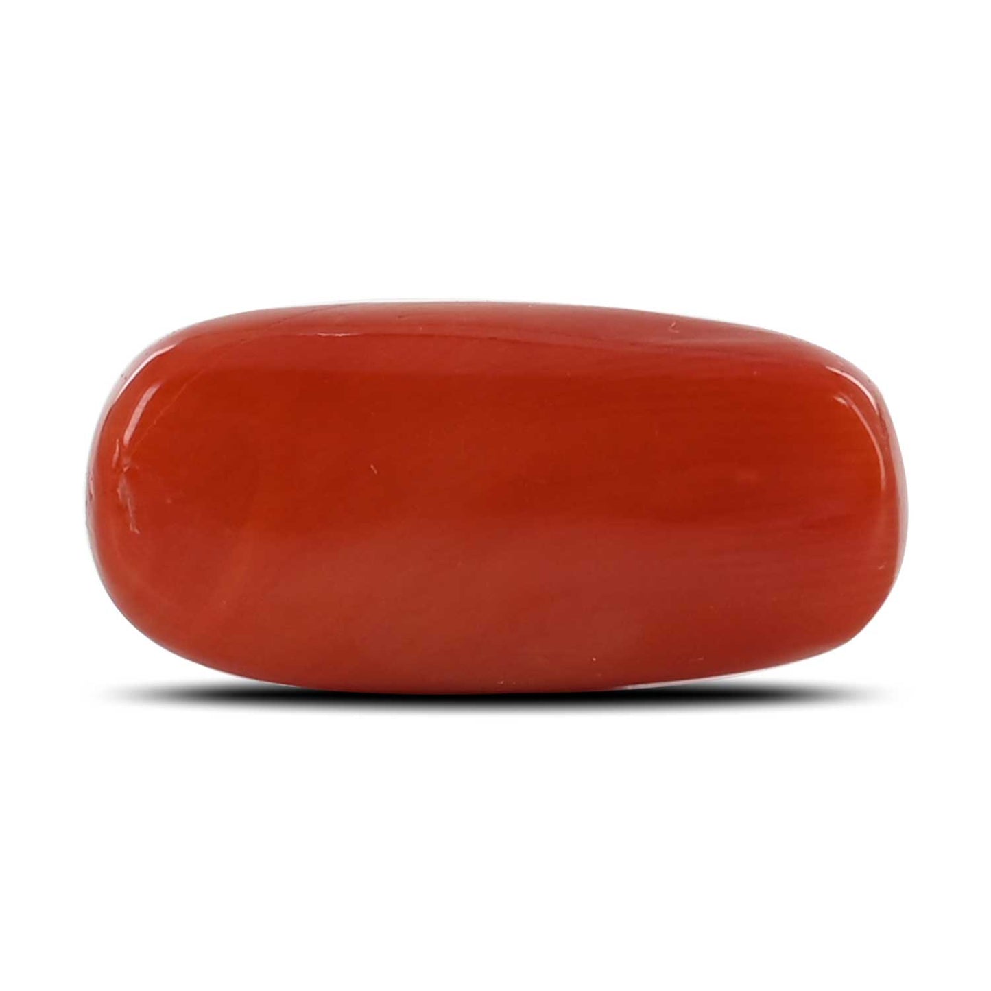 Red Coral (Moonga) - 11 Carat