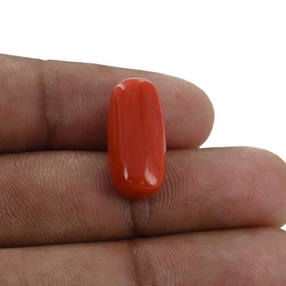 Red Coral (Moonga) - 11 Carat