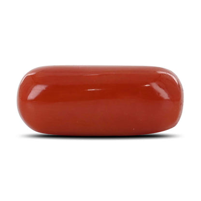 Red Coral (Moonga) - 11.91 Carat