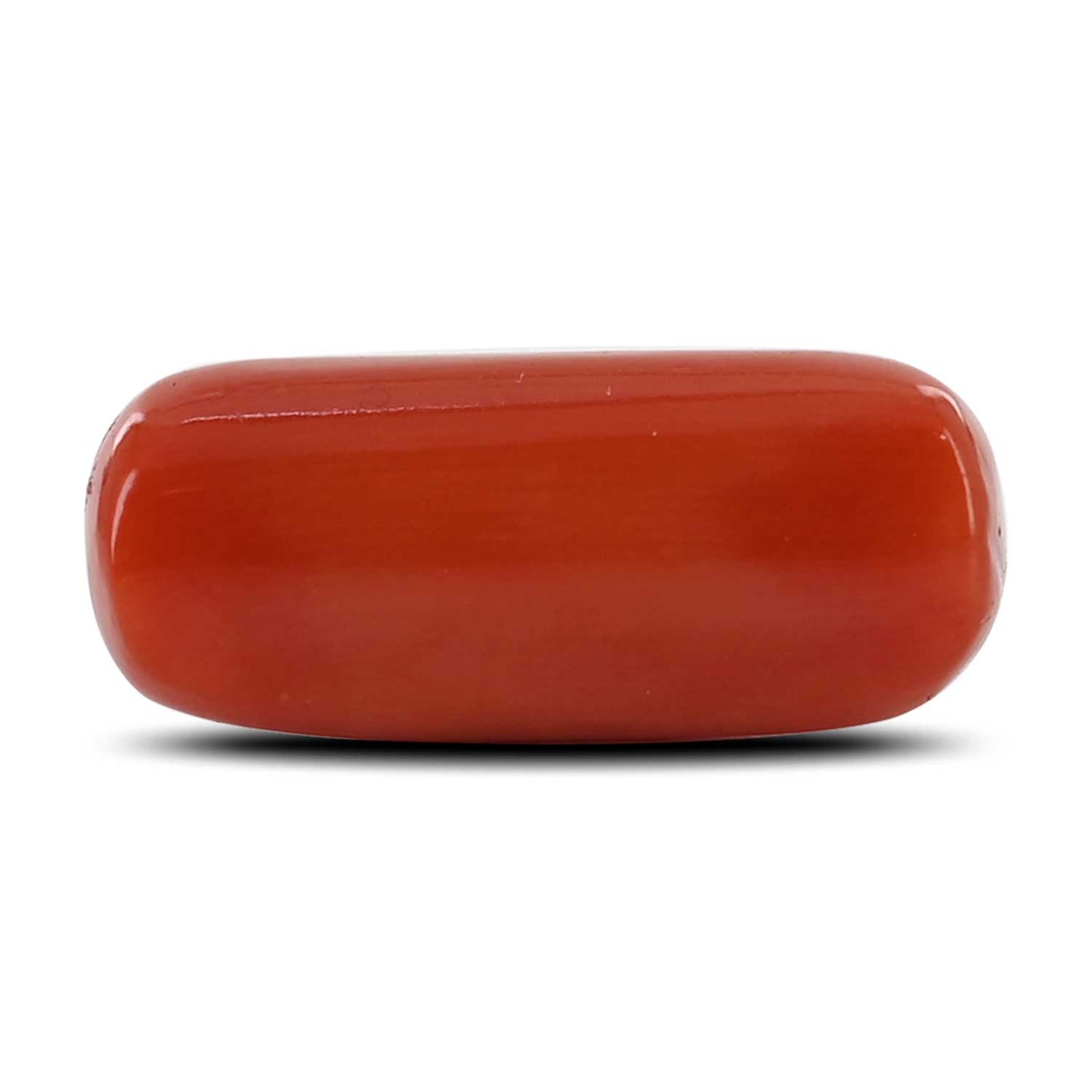 Red Coral (Moonga) - 11.91 Carat