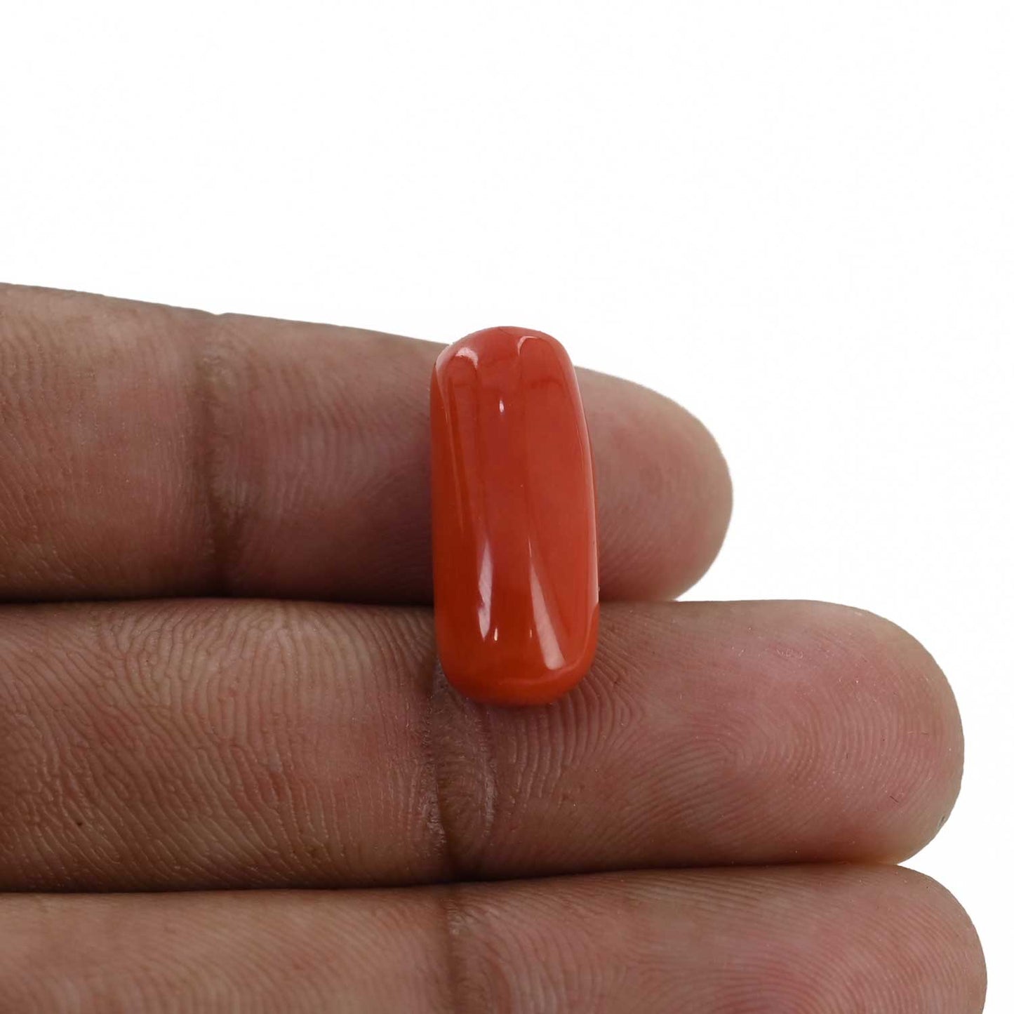 Red Coral (Moonga) - 11.91 Carat