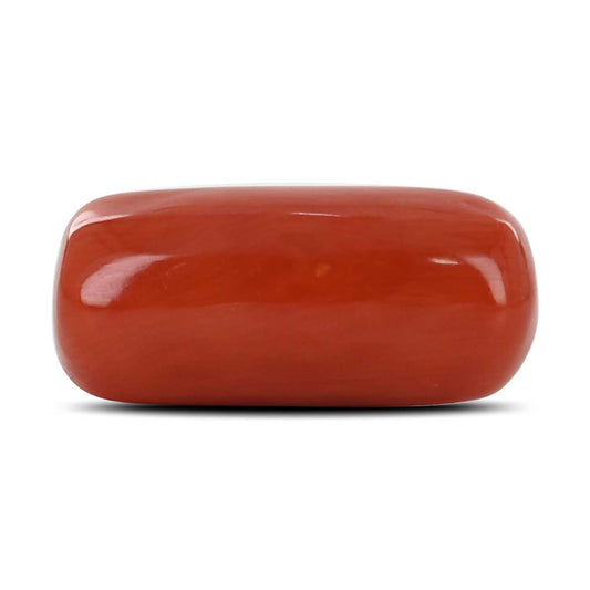 Red Coral (Moonga) - 11.65 Carat