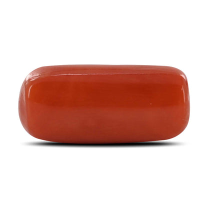 Red Coral (Moonga) - 11.65 Carat