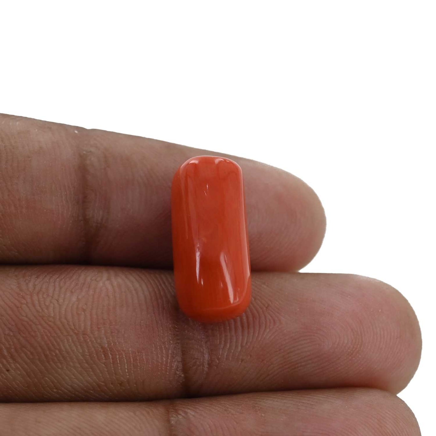 Red Coral (Moonga) - 11.65 Carat