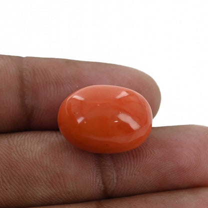 Red Coral (Moonga) - 24.32 Carat