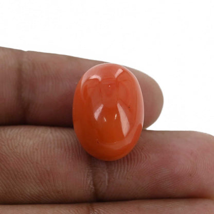Red Coral (Moonga) - 24.32 Carat