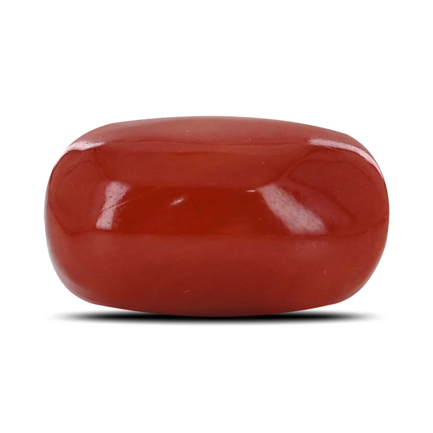 Red Coral (Moonga) - 17.14 Carat