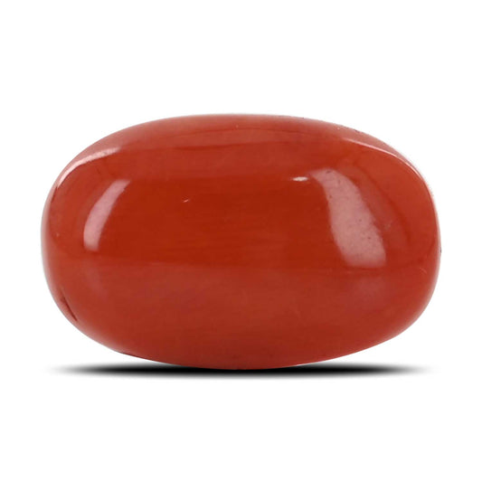 Red Coral (Moonga) - 13.61 Carat