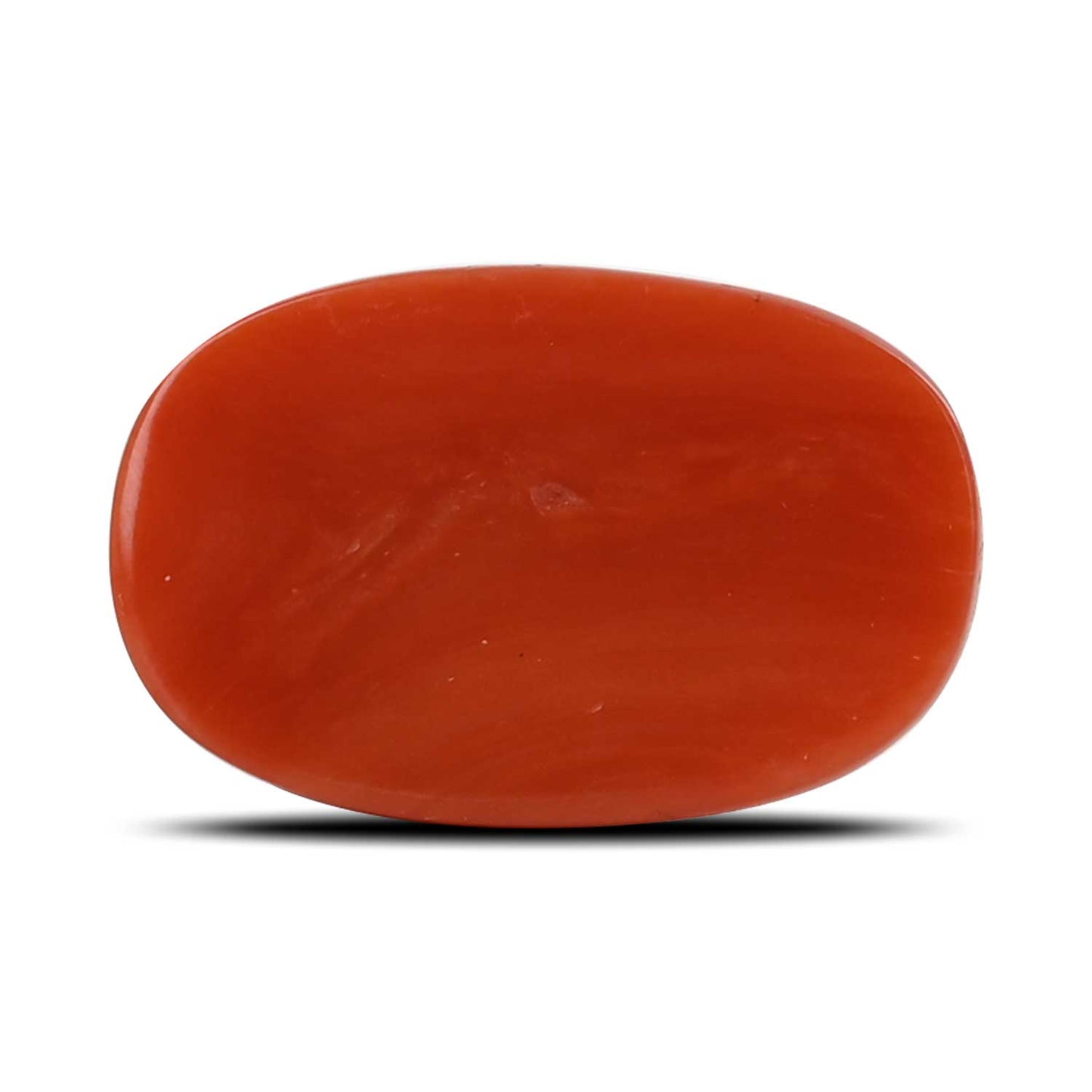 Red Coral (Moonga) - 13.61 Carat