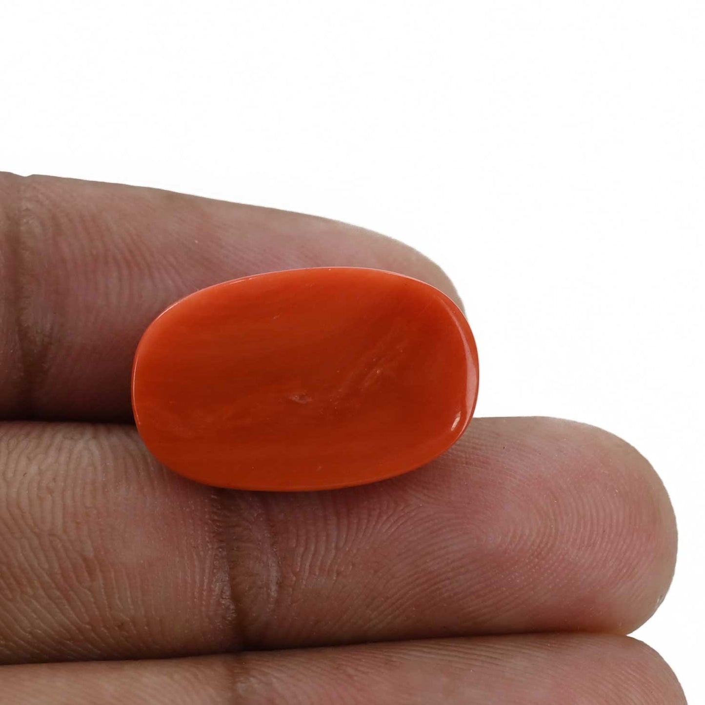 Red Coral (Moonga) - 13.61 Carat