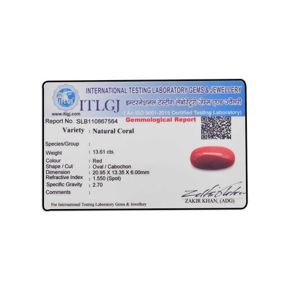 Red Coral (Moonga) - 13.61 Carat