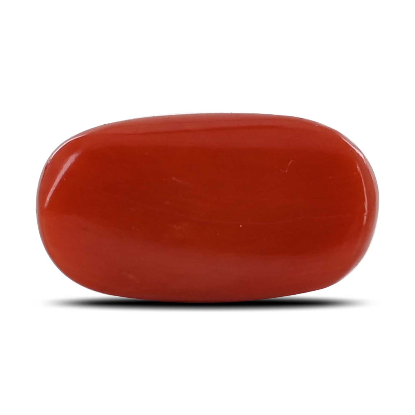 Red Coral (Moonga) - 11 Carat