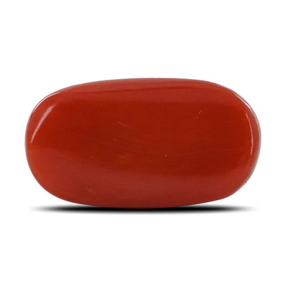 Red Coral (Moonga) - 11 Carat