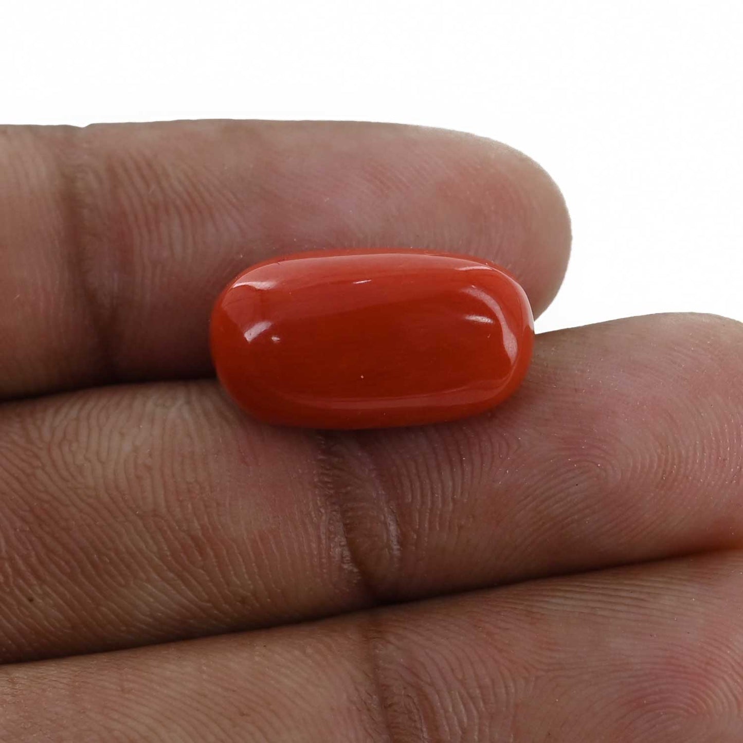 Red Coral (Moonga) - 11 Carat