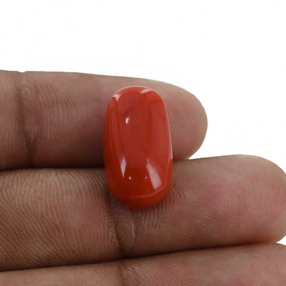 Red Coral (Moonga) - 11 Carat
