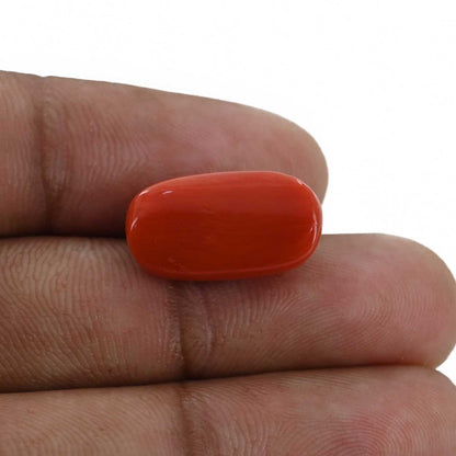 Red Coral (Moonga) - 11 Carat