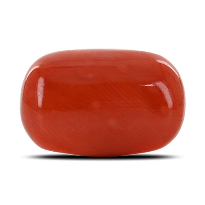 Red Coral (Moonga) - 12.11 Carat