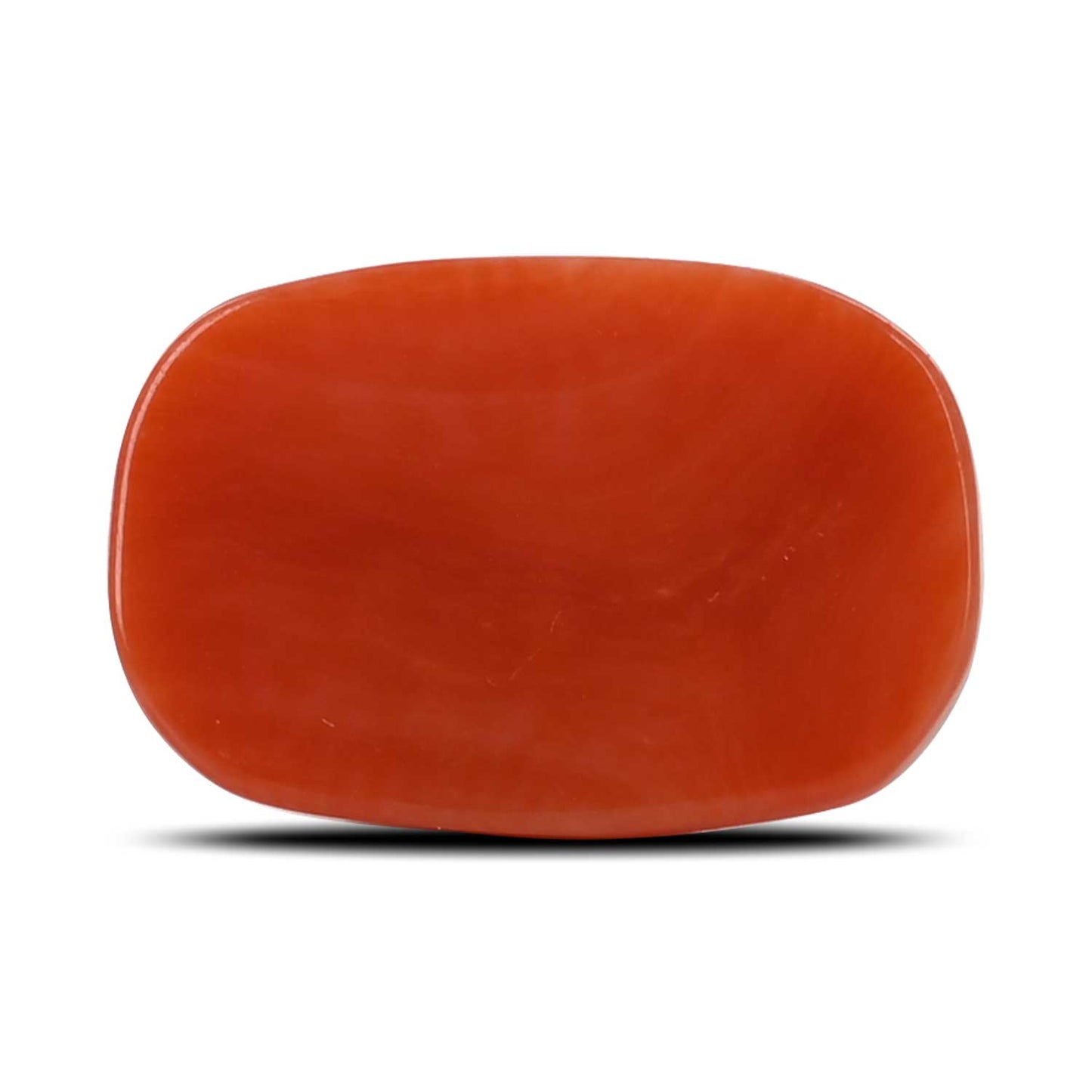 Red Coral (Moonga) - 12.11 Carat