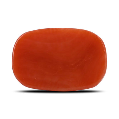 Red Coral (Moonga) - 12.11 Carat