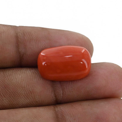 Red Coral (Moonga) - 12.11 Carat