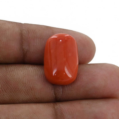 Red Coral (Moonga) - 12.11 Carat