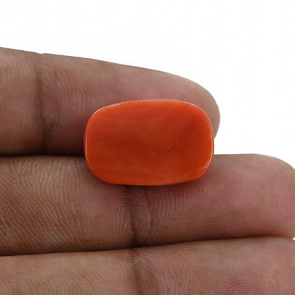 Red Coral (Moonga) - 12.11 Carat