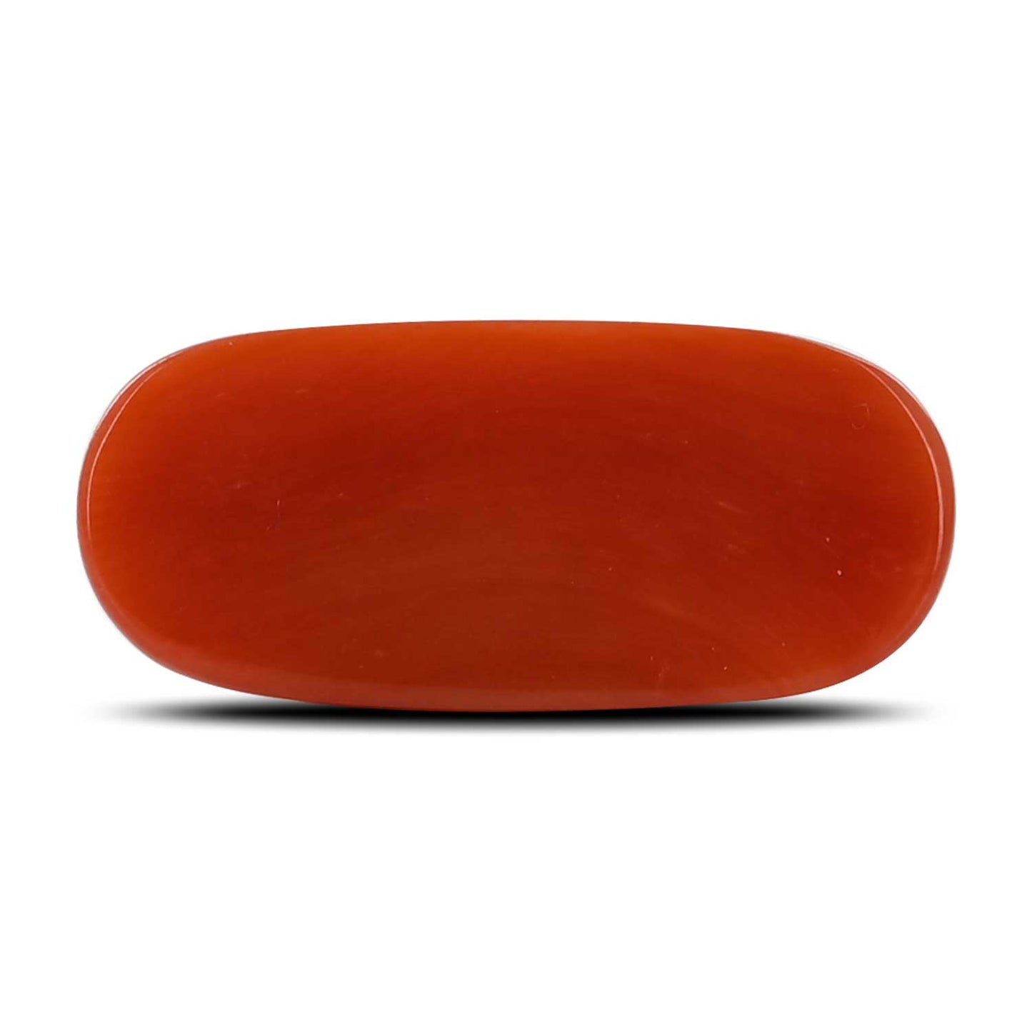 Red Coral (Moonga) - 10.43 Carat