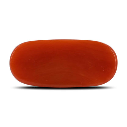 Red Coral (Moonga) - 10.43 Carat
